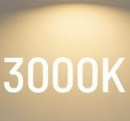 3000K